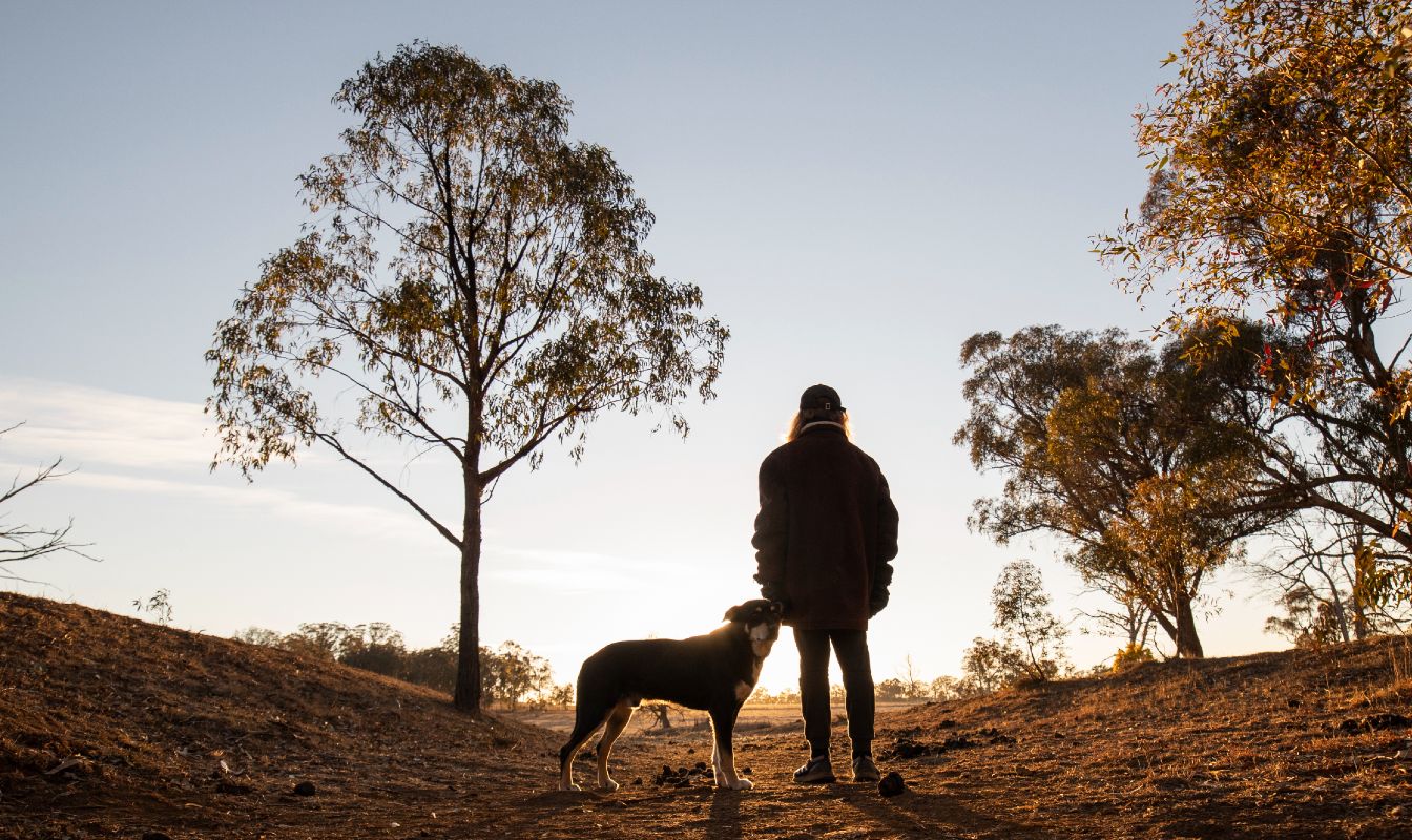 Black Hawk preview image