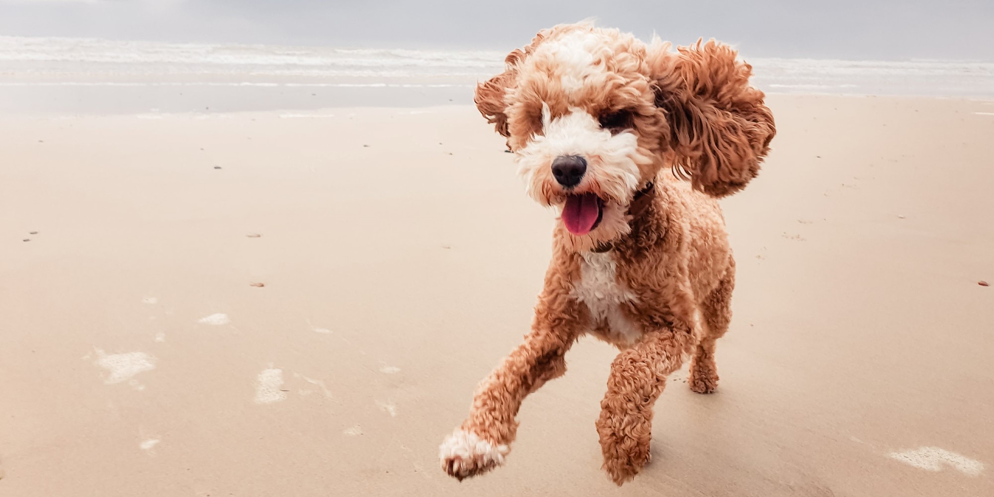 Nothin' to Hide hero image