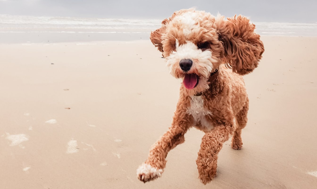 Nothin' to Hide preview image