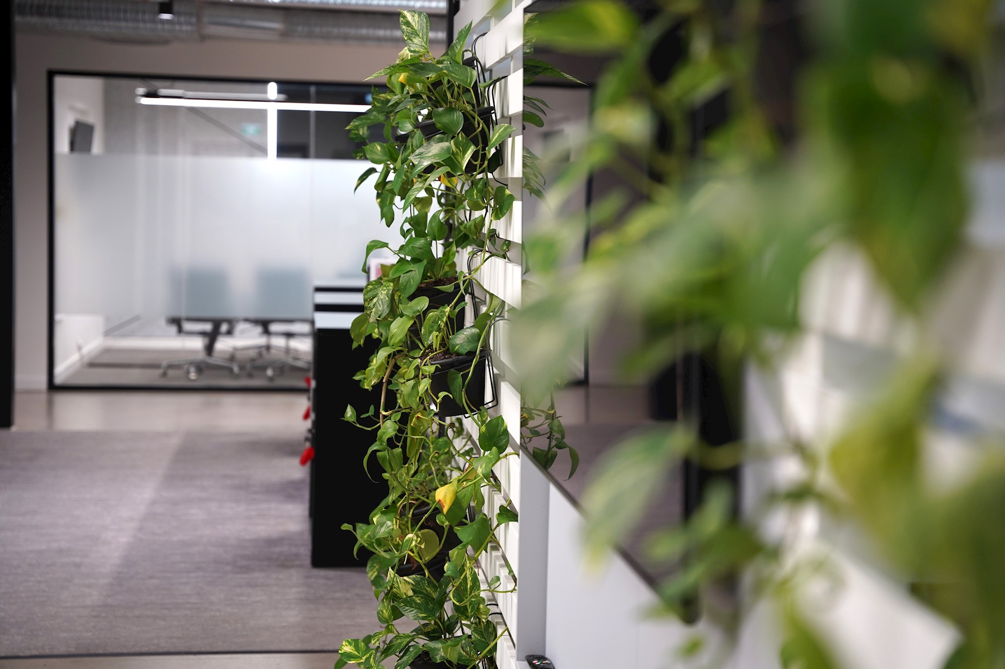 Environment preview image