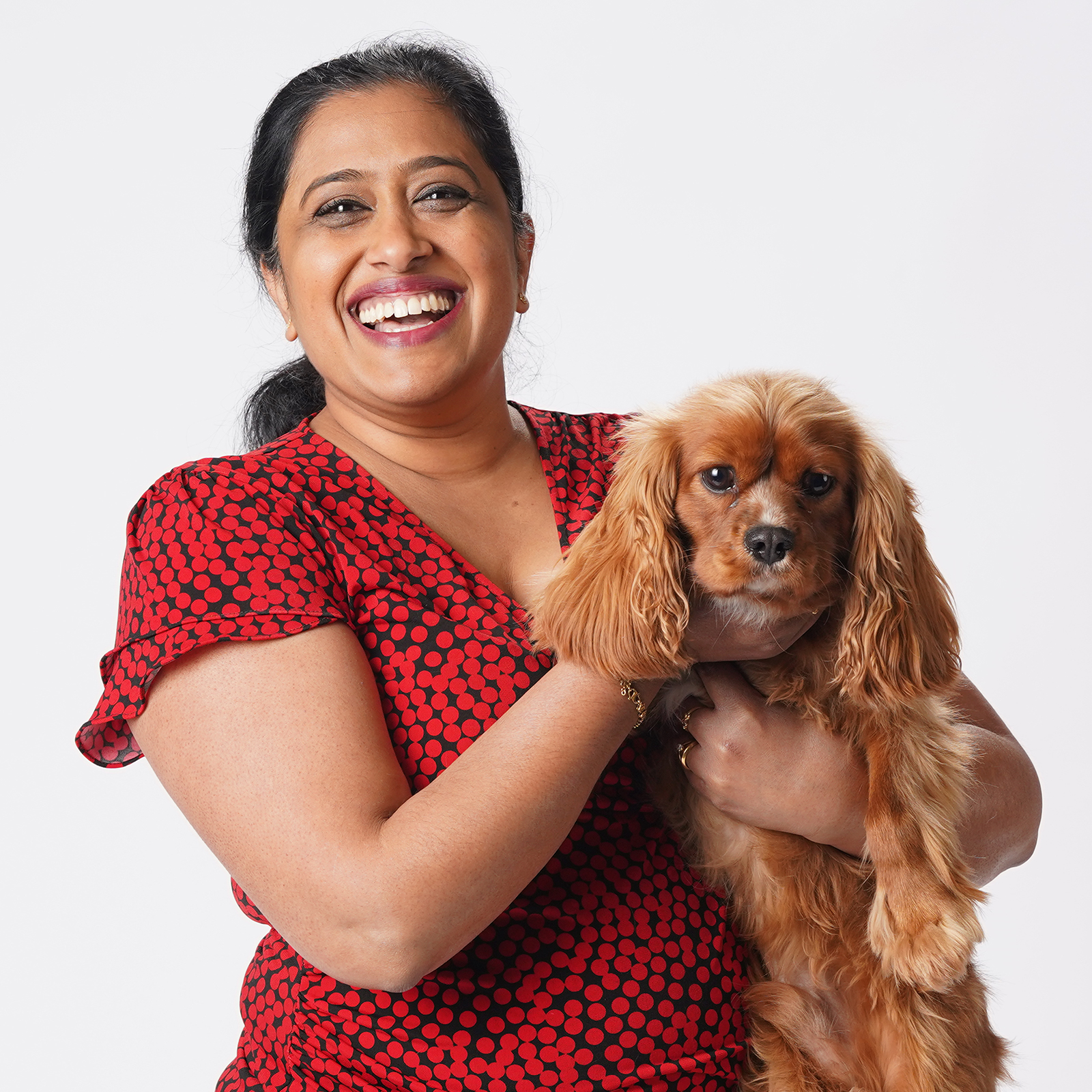 Meet Our Team preview image