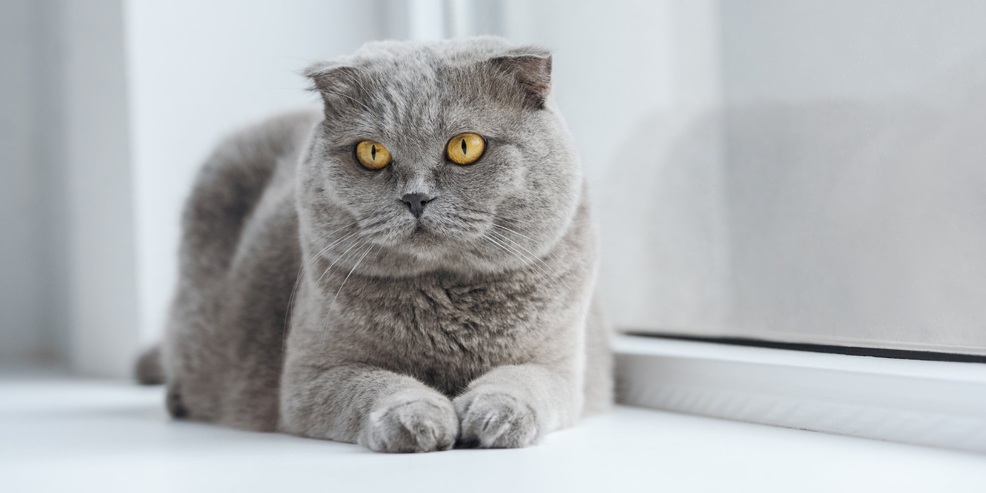 Trouble and Trix hero image